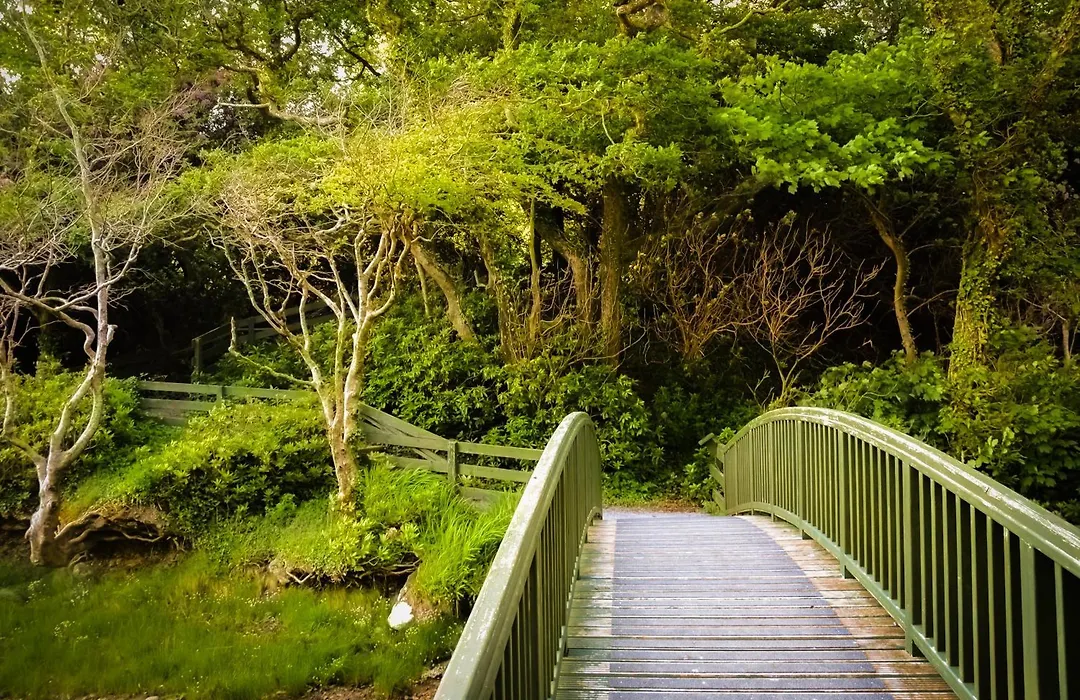 Parknasilla Resort & Spa-1