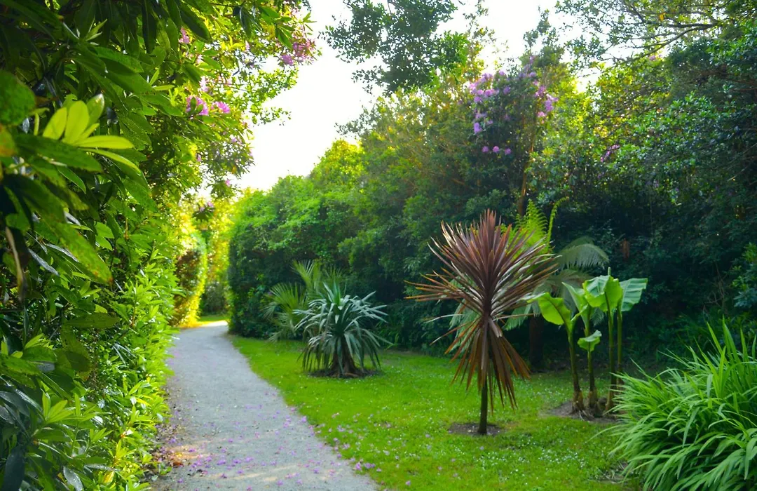 Parknasilla Resort & Spa-1